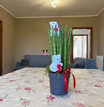 Foto annuncio 5