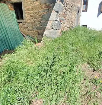 Foto annuncio 15