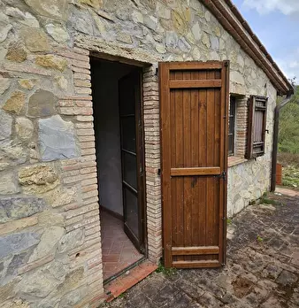 Foto annuncio 7