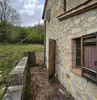 Foto annuncio 6