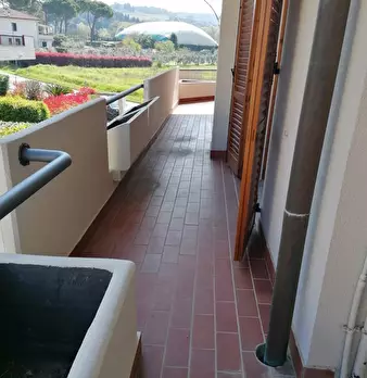 Foto annuncio 9
