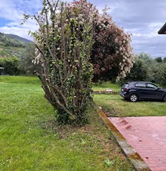Foto annuncio 24