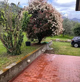Foto annuncio 25