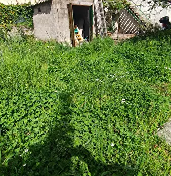 Foto annuncio 18