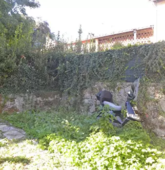 Foto annuncio 6