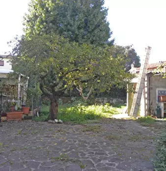 Foto annuncio 11