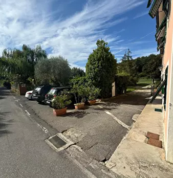 Foto annuncio 41
