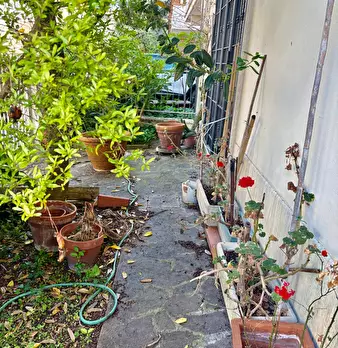 Foto annuncio 1