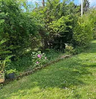 Foto annuncio 3