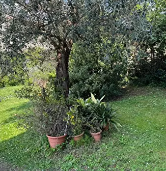 Foto annuncio 4