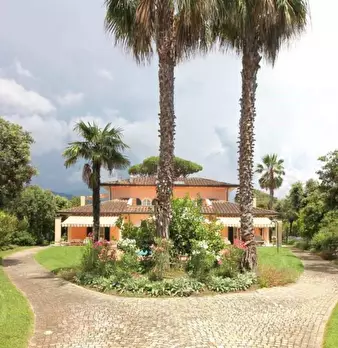 Foto annuncio 8