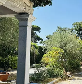 Foto annuncio 31