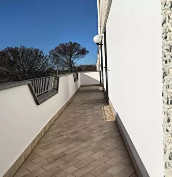 Foto annuncio 6