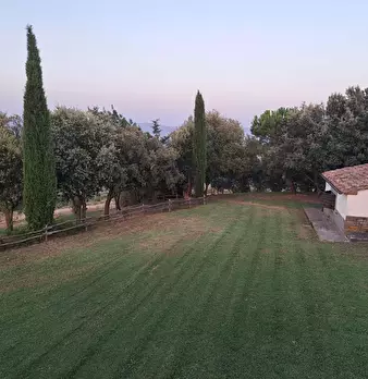 Foto annuncio 13