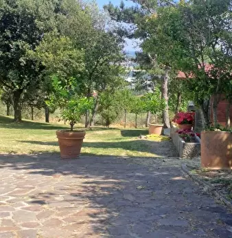 Foto annuncio 21
