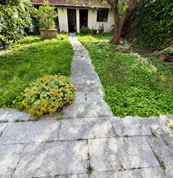 Foto annuncio 25