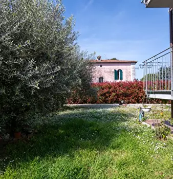 Foto annuncio 5