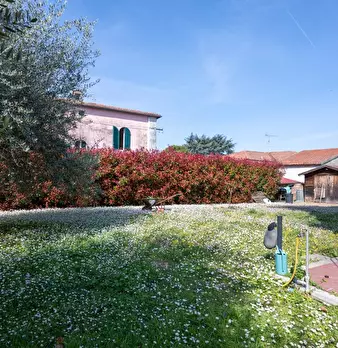 Foto annuncio 6
