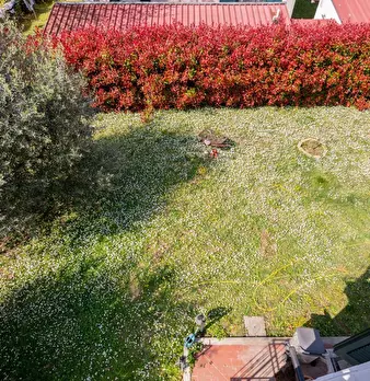 Foto annuncio 41