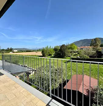 Foto annuncio 36