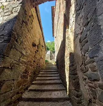 Foto annuncio 33