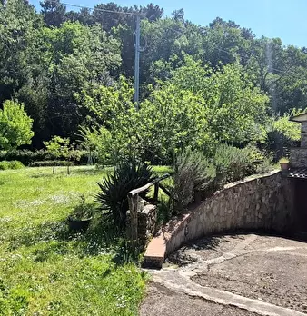 Foto annuncio 33