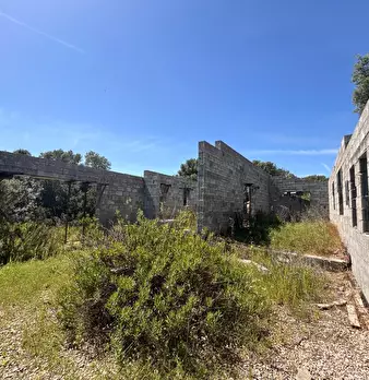Foto annuncio 39