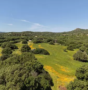 Foto annuncio 8