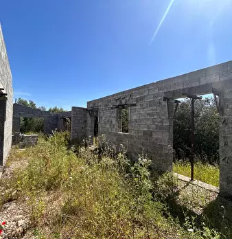 Foto annuncio 33