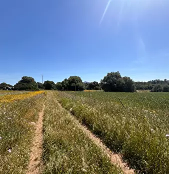 Foto annuncio 17