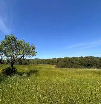 Foto annuncio 19