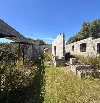 Foto annuncio 40