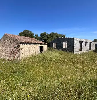 Foto annuncio 21