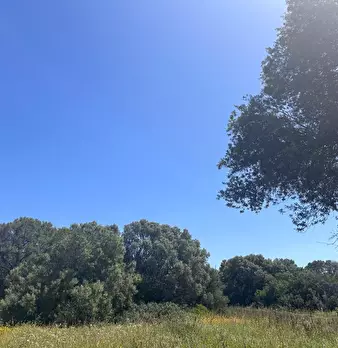 Foto annuncio 42