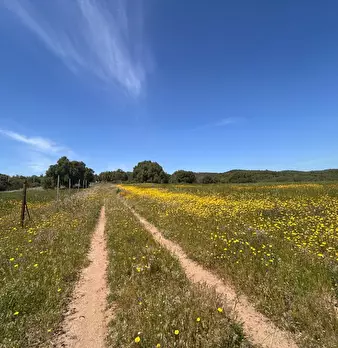 Foto annuncio 16