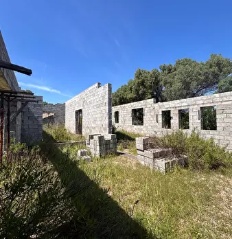 Foto annuncio 25