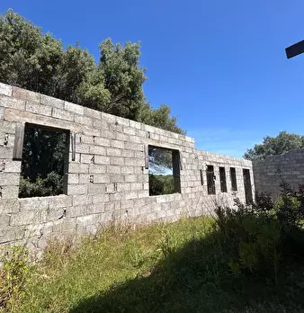 Foto annuncio 31