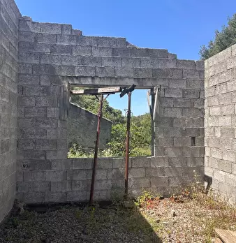 Foto annuncio 35