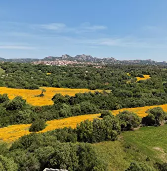 Foto annuncio 4