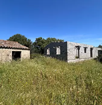 Foto annuncio 20