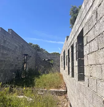 Foto annuncio 38