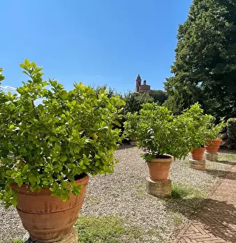 Foto annuncio 23