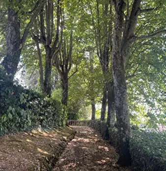 Foto annuncio 26