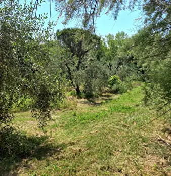 Foto annuncio 9