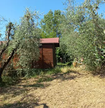 Foto annuncio 11