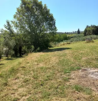 Foto annuncio 12