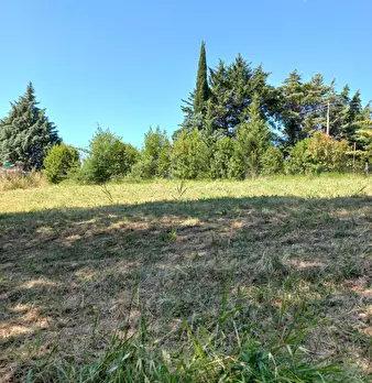Foto annuncio 8