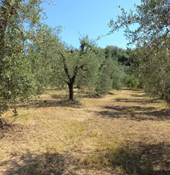 Foto annuncio 2