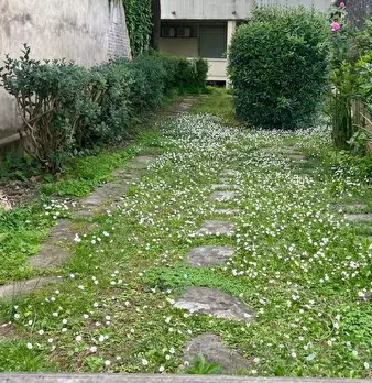 Foto annuncio 20