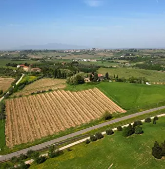 Foto annuncio 49